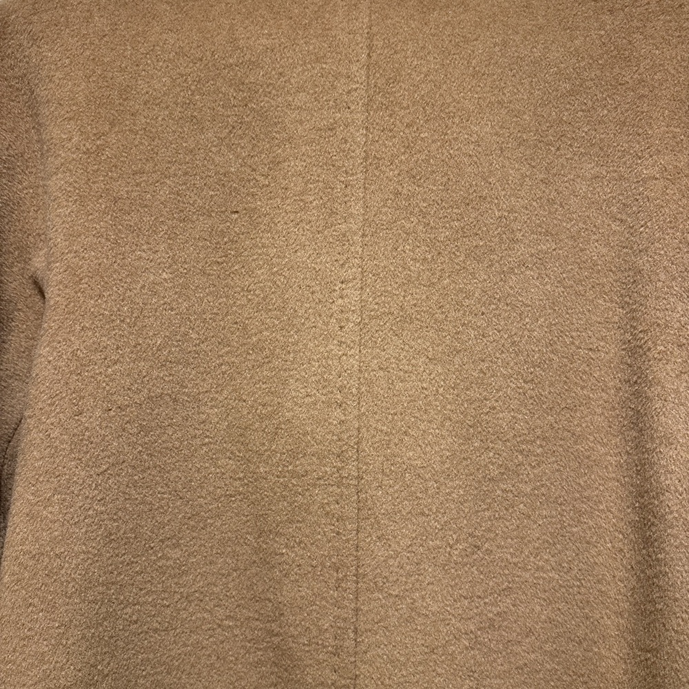 Aritzia Babaton The Slouch Coat (Re-Camel wool) - Picture 5 of 12